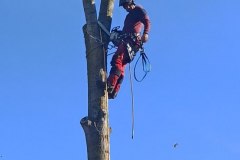 image0000001001002003004005006007008009010011012013