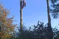 image0000011001002003004005006007008009010011012013