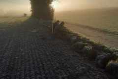 Resized_20221210_094252