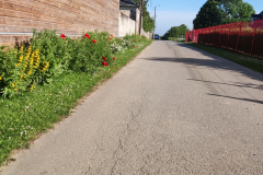 IMG_20220602_083053